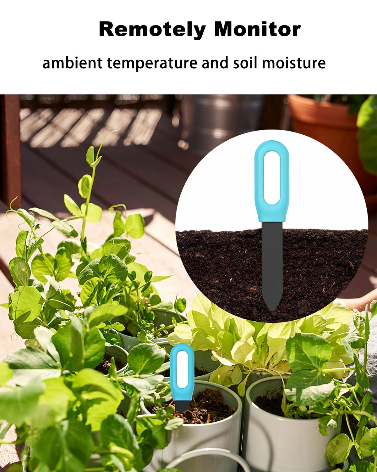 Haozee Tuya Zigbee Soil Moisture & Temp Sensor