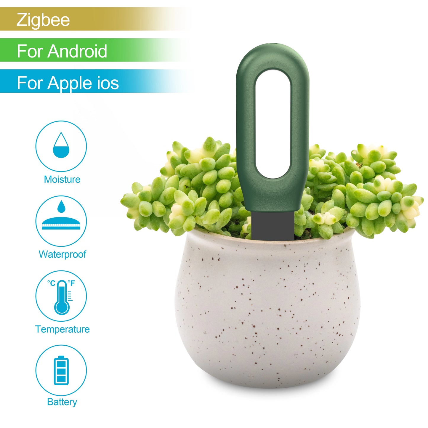 Haozee Tuya Zigbee Soil Moisture & Temp Sensor