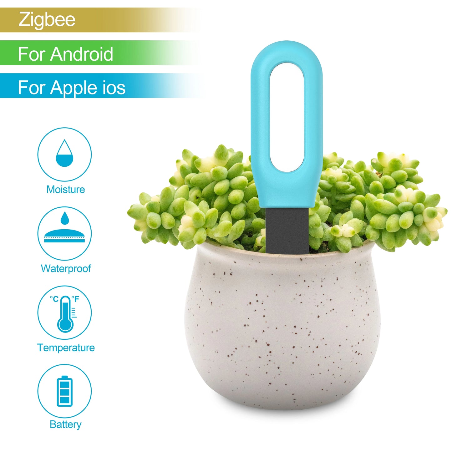 Haozee Tuya Zigbee Soil Moisture & Temp Sensor