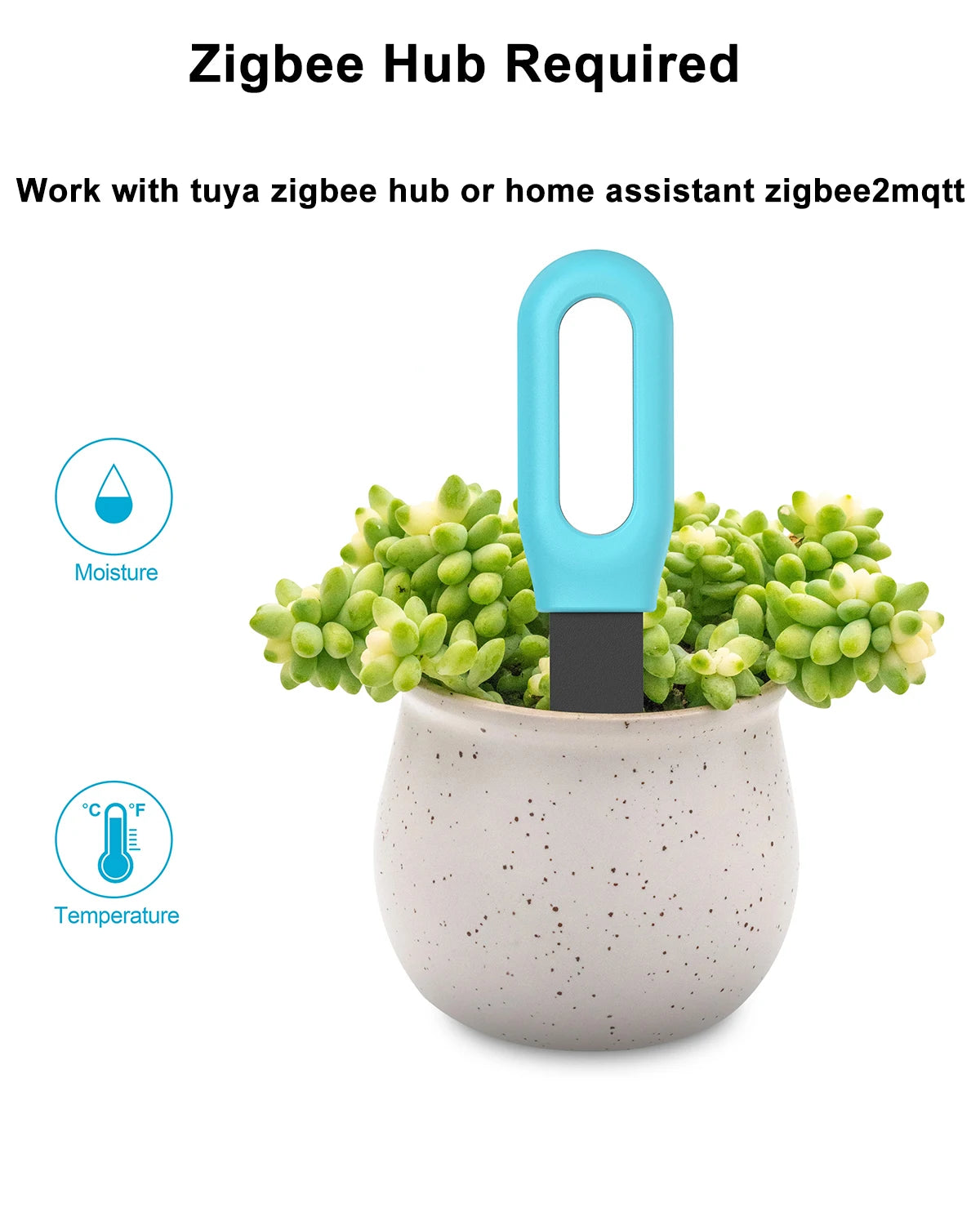 Haozee Tuya Zigbee Soil Moisture & Temp Sensor