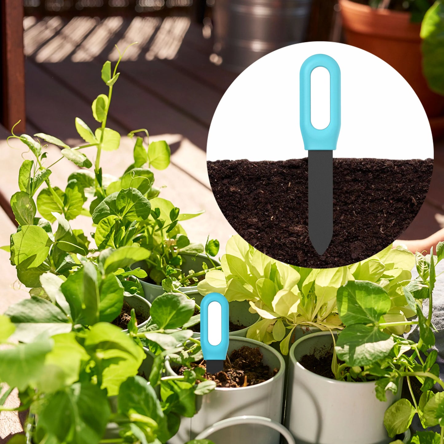 Haozee Tuya Zigbee Soil Moisture & Temp Sensor